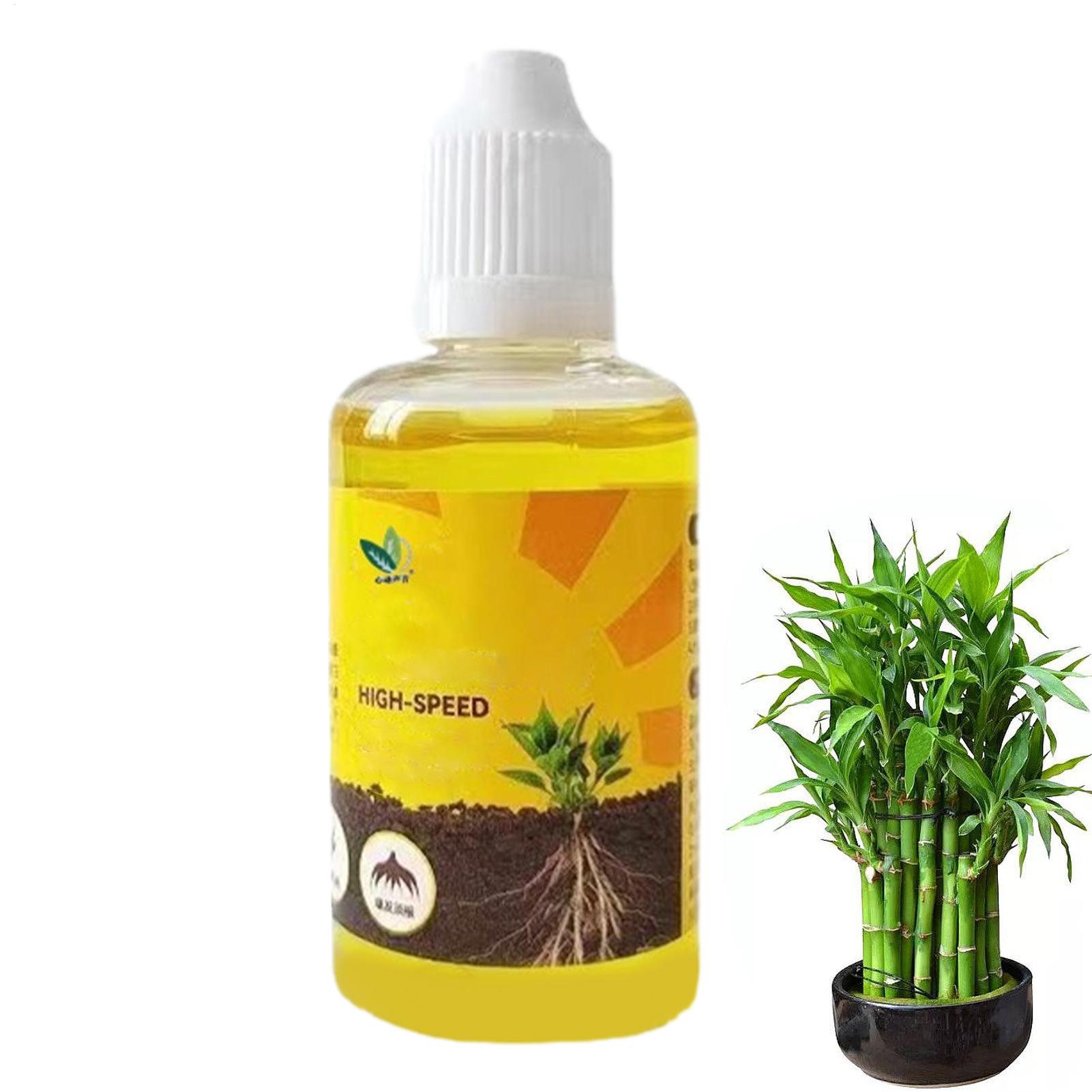 Root Stimulator Liquid - 植物の発根促進剤、液体植物発根促進剤、発根促進効果を高める液体、速効性発根剤、液体肥料、強力な発根促進剤。
