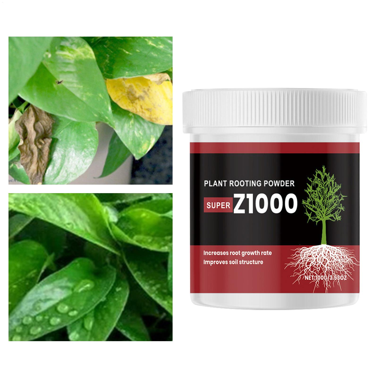 植物の挿し木用、発根促進ホルモンパウダー。花、野菜、樹木の発 - Root Stimulator Liquid のレビューと価格