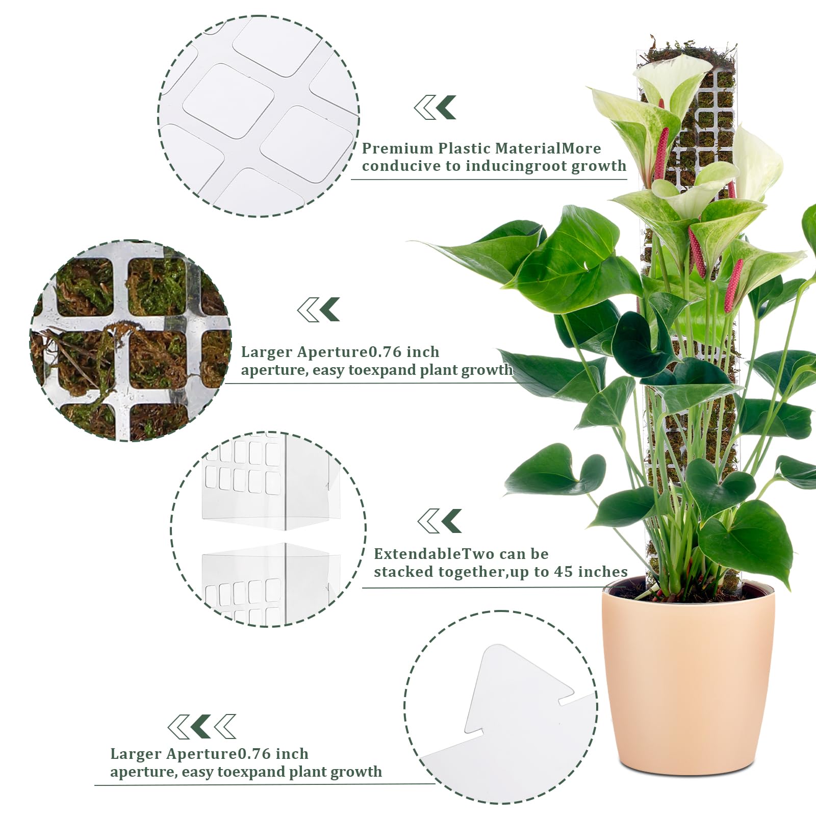 モンステラやポトス、フィロデンドロンなどの観葉植物を支えるた - Sphagnum Moss Dry のレビューと価格