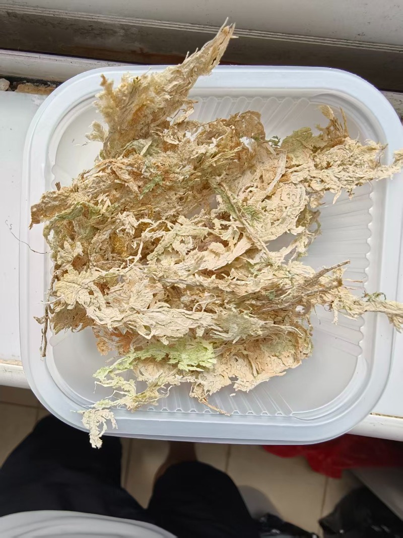 高級スパグニウムモス（蘭用） 圧縮ブロック リクタイルテラリ - Sphagnum Moss Dry のレビューと価格